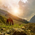 Kashmir Offbeat Adventure